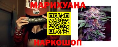 гидра Краснодар