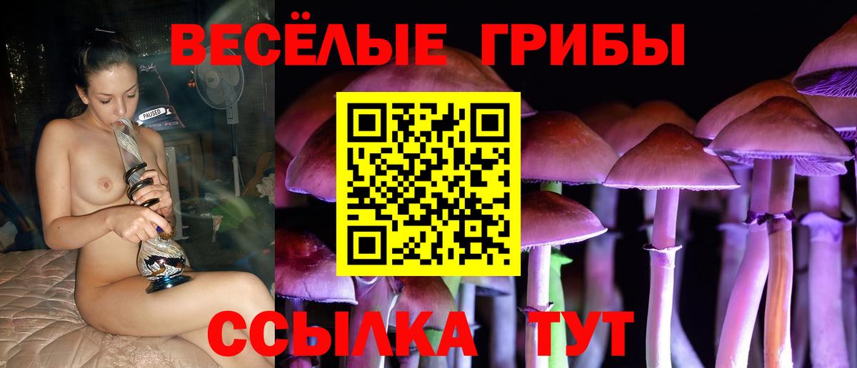 Галлюциногенные грибы GOLDEN TEACHER Борзя
